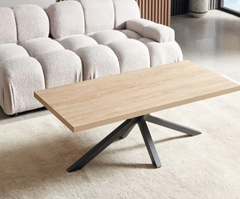 Chrissie Coffee Table HJ
