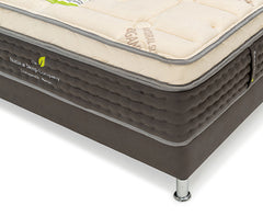 nature's touch latex mattress