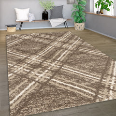 Blaze Rug - Toupe Beige 03
