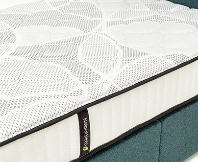 sealy backcare mattress