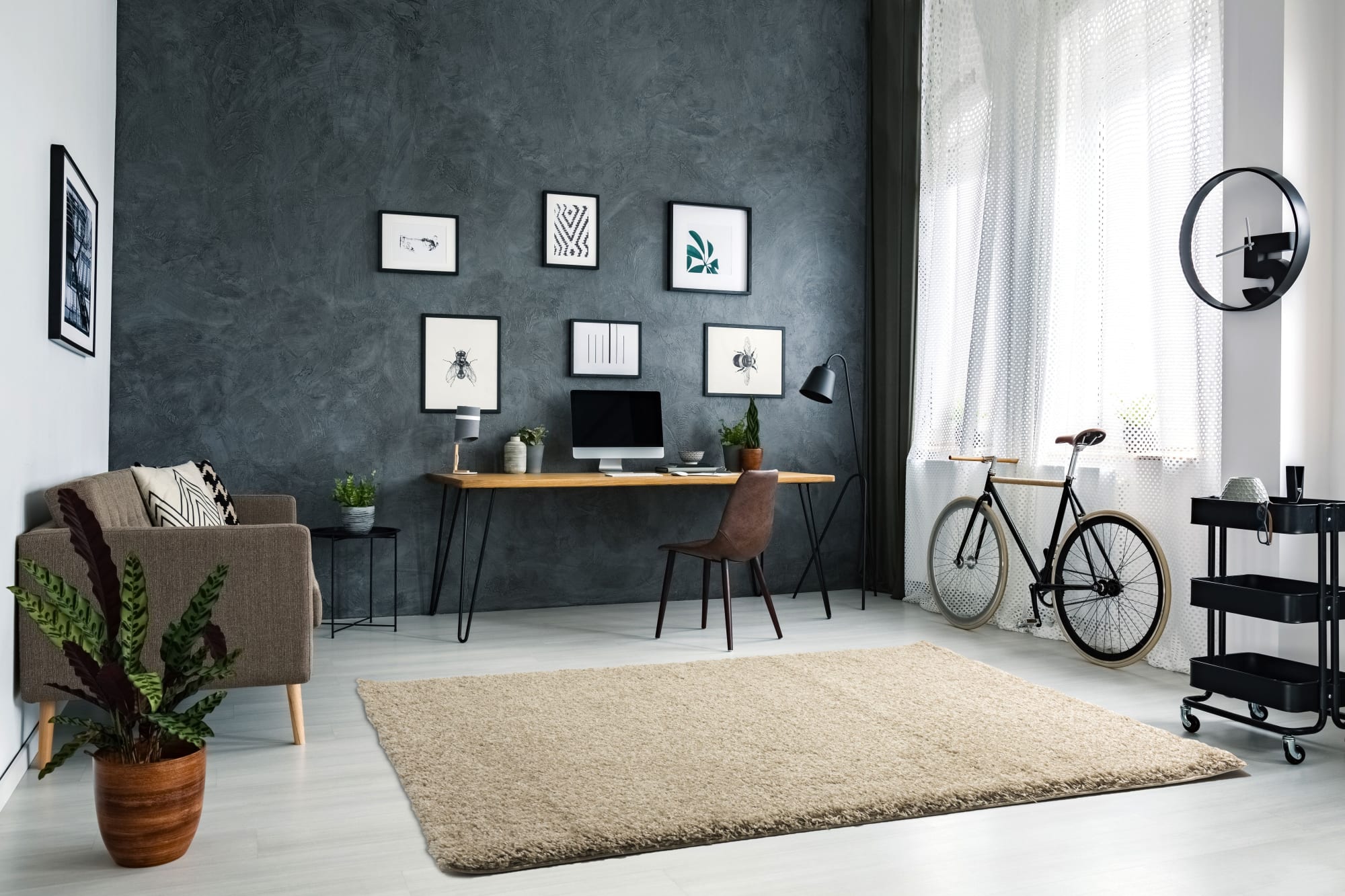 Shaggy Ivory-Cream Rug